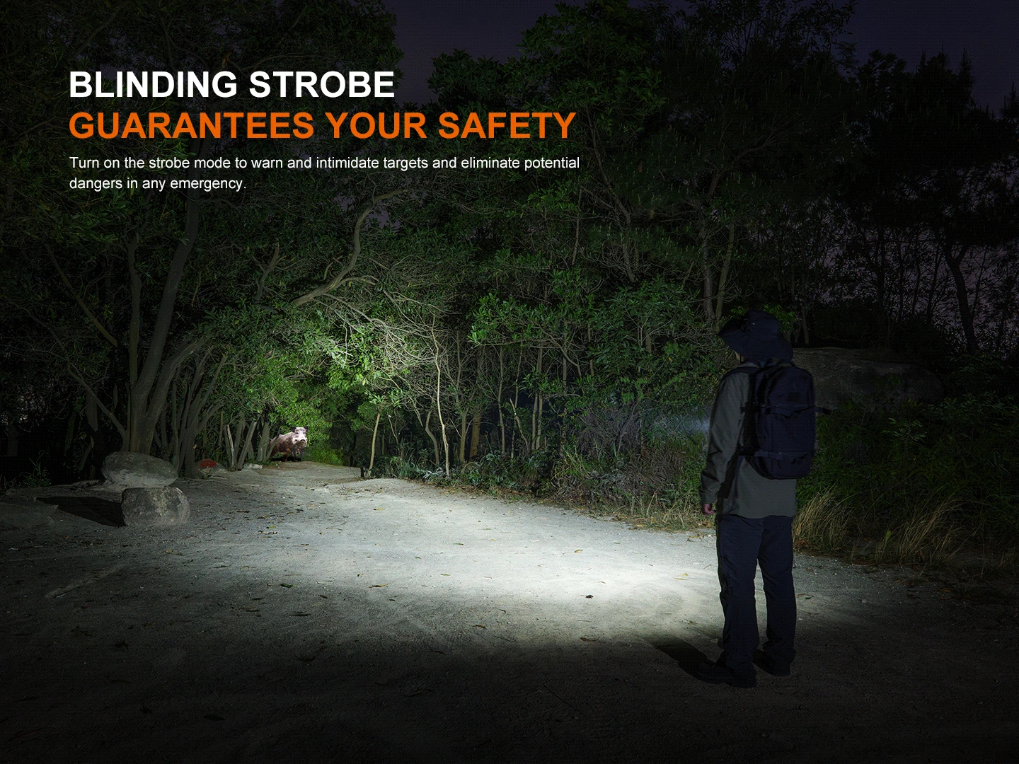 Fenix LD36R Multicolor Flashlight 9 Fenix LD36R Multicolor Flashlight - Image 9